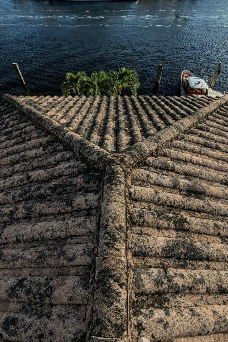 Before — Roof Transformation